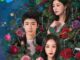 Download Drama China About Love Subtitle Indonesia