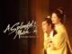 Download Drama China A Splendid Match Subtitle Indonesia