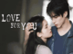 Download Drama China Love for You Subtitle Indonesia