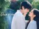 Download Drama Korea Dream to You Subtitle Indonesia
